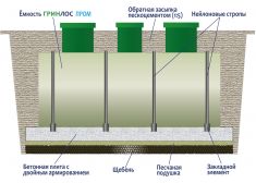 Гринлос Пром 100 пр